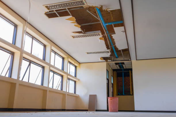 Best Water damage contractors near me  in Fayette, LA