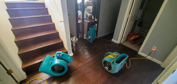Best Emergency water damage restoration  in Fayette, LA