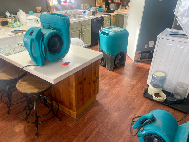 Best Residential water damage restoration  in Fayette, LA