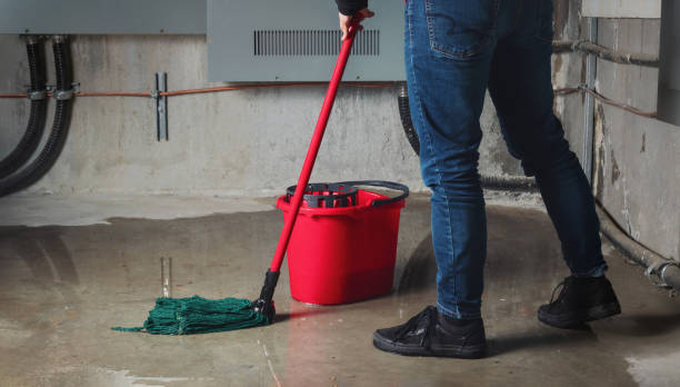 Best Water damage cleanup near me  in Fayette, LA