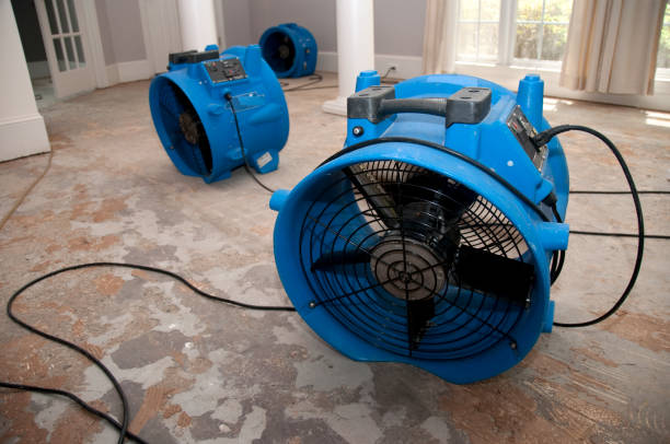 Sewage cleanup and water damage restoration in LA
