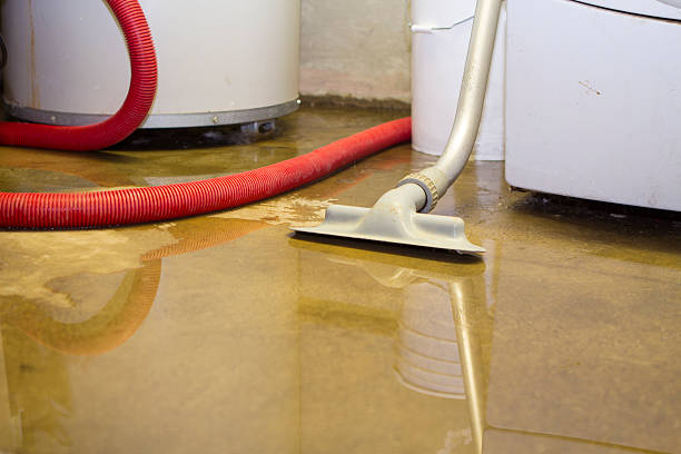 Best Local water damage restoration  in Fayette, LA