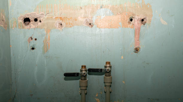 Best Professional water damage repair  in Fayette, LA