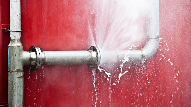 Best Carpet water damage restoration  in Fayette, LA